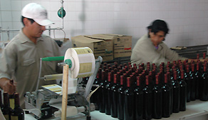bottling wine
